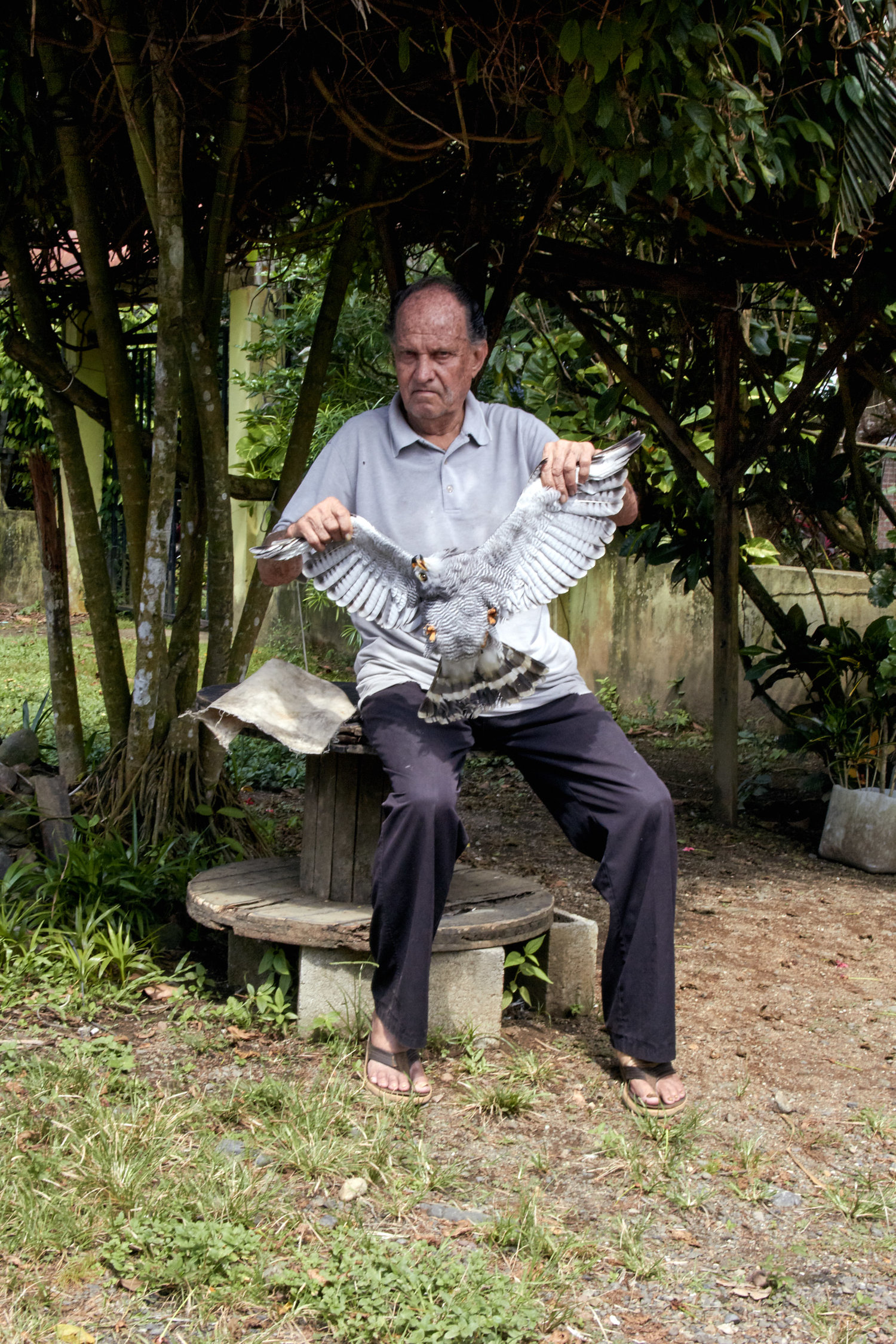Wintry Mountain Landscape